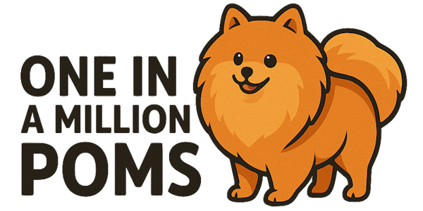 One in a Million Poms